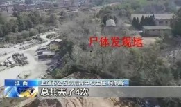 爆料常德山火案件最新进展